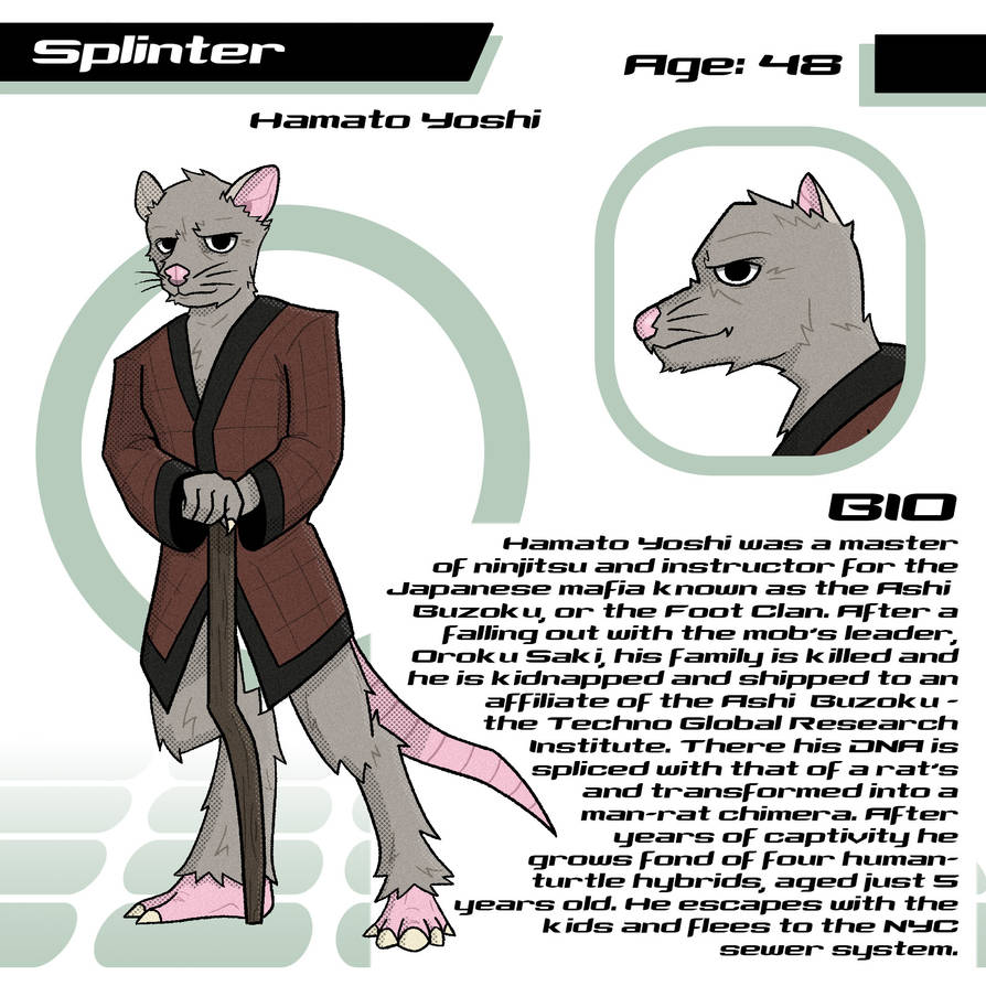 Splinter - Character Redesign by ZeFlash101 on DeviantArt