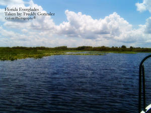 Florida Everglades