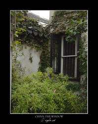 China.9: Window