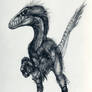 Deinonychus