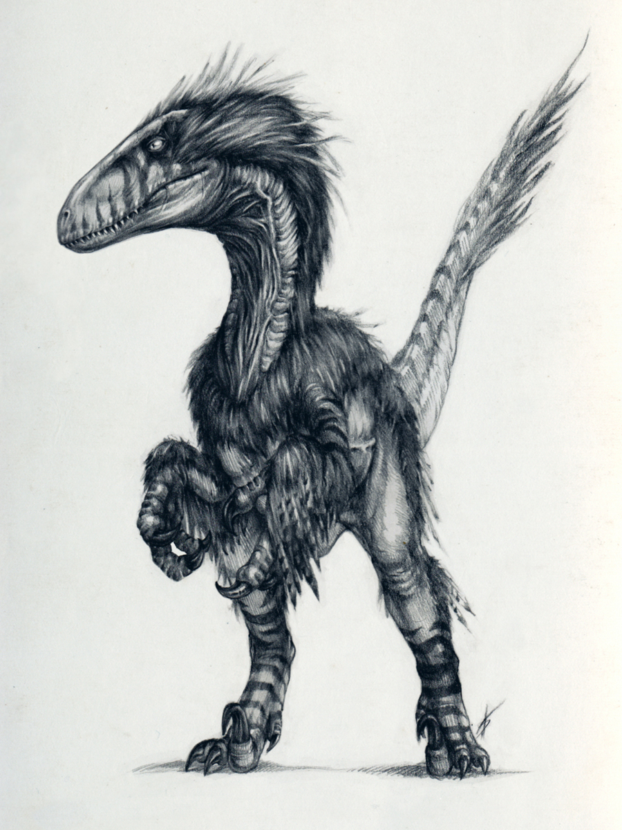 Deinonychus