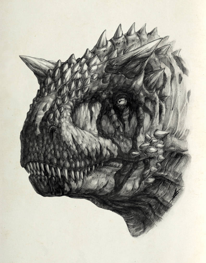 Carnotaurus III sketch by AntarcticSpring on DeviantArt