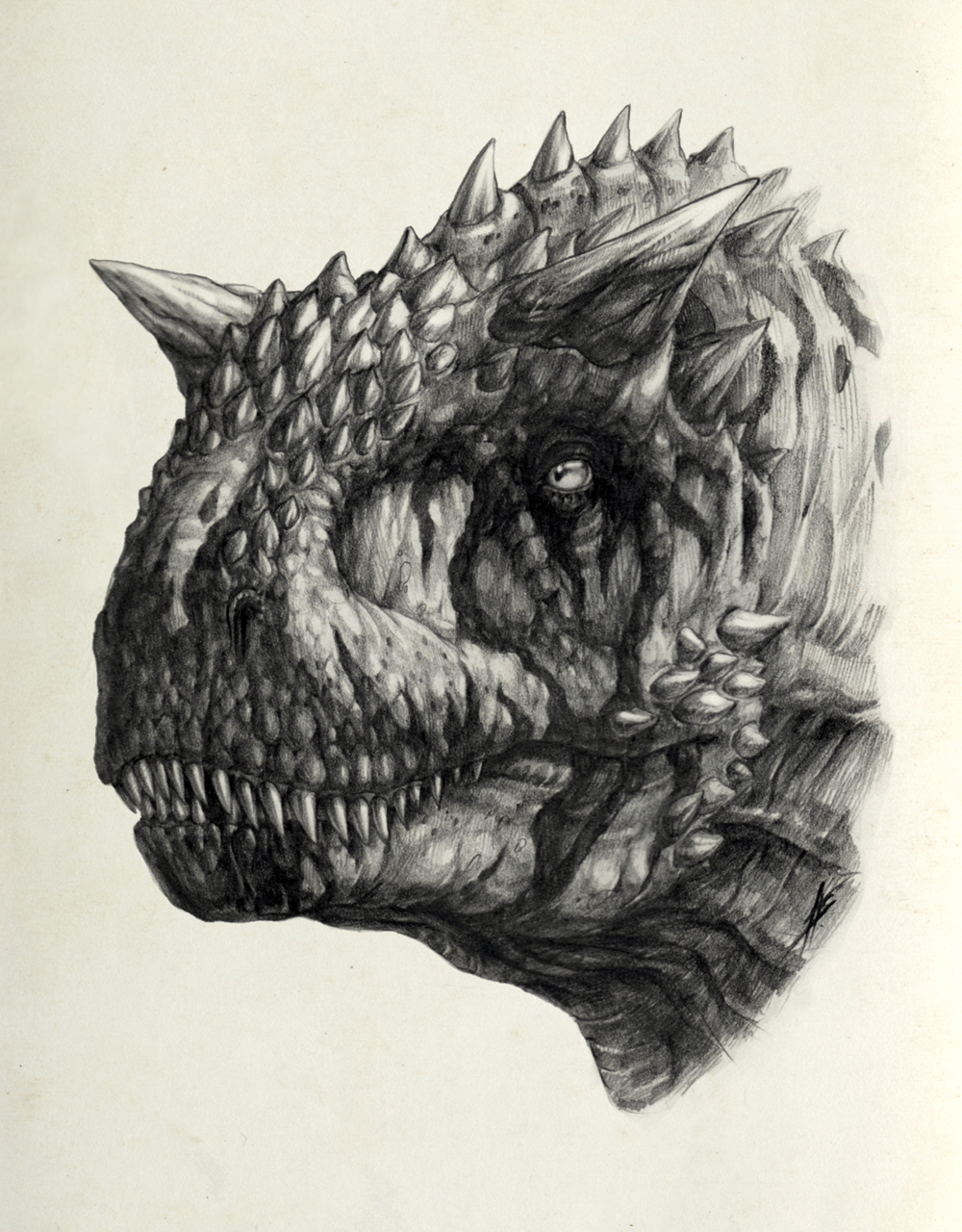 Carnotaurus III sketch