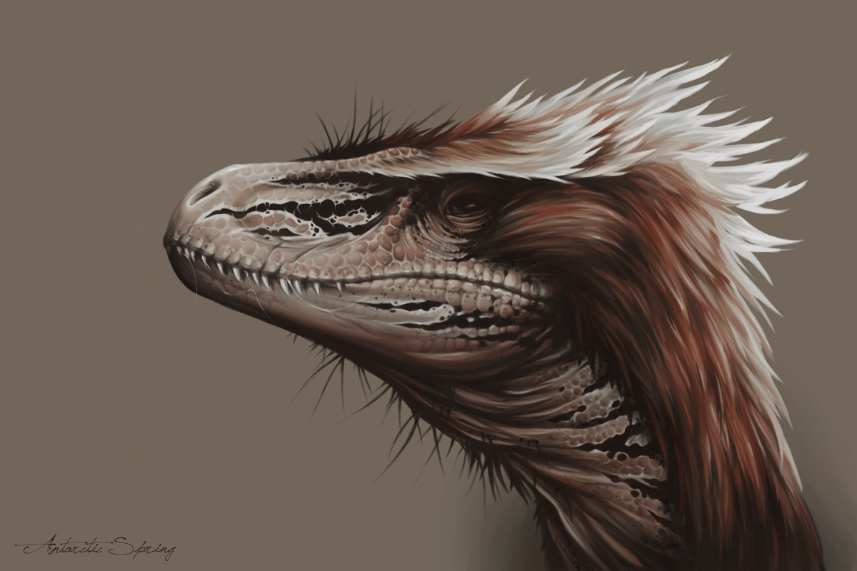 Utahraptor