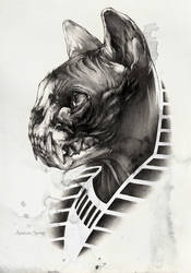 Sphynx II by AntarcticSpring