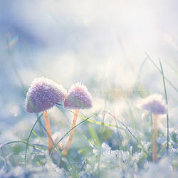 hello winter
