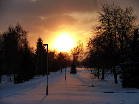 Winter sunset