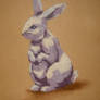 'Dust Bunny'