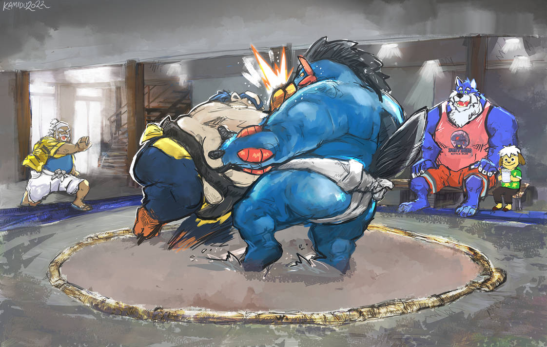 Pokemon Sumo Deviantart Pokemon Sumo by brawl9977 on DeviantArt