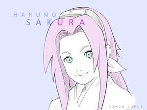 Kid Sakura Fanart