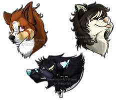 YCH Headshots