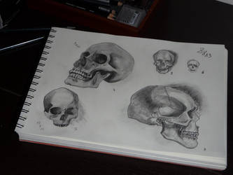 Page of skulls