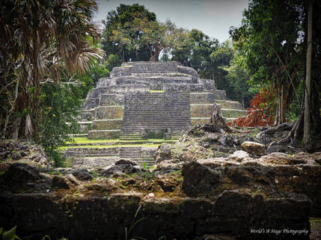 Temple of the Jaguar