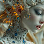 Dream Catcher