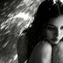 I Let the Rain Inside