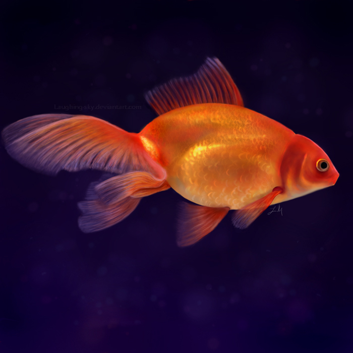 Goldfish