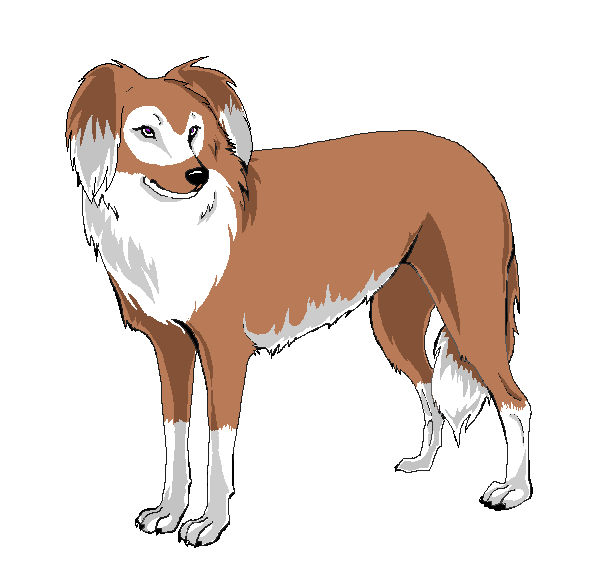 Shippuden Chamaru by Simplelife11 on DeviantArt