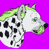 Agender Hyena Profile Pic