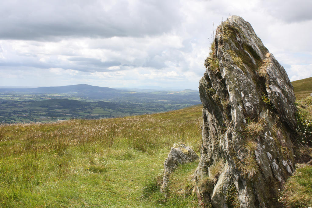 Mount Leinster