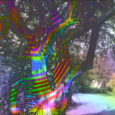 Tripping tree 