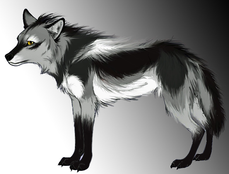 Wolf form