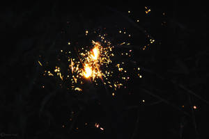 Sparkler 9