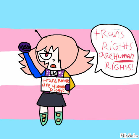 TRANS RIGHTS by Lemonqueen4 on DeviantArt