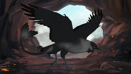 Crow 449
