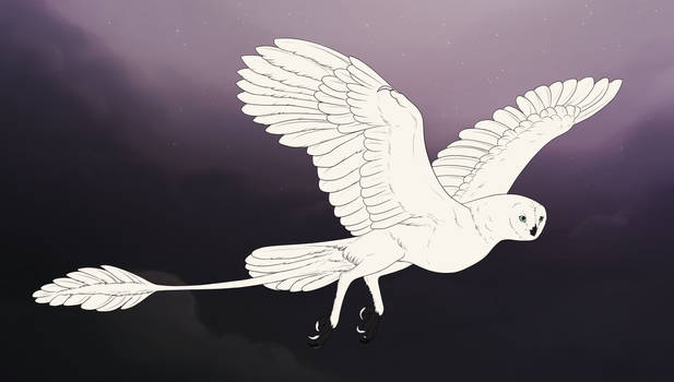 Dracostryx 686