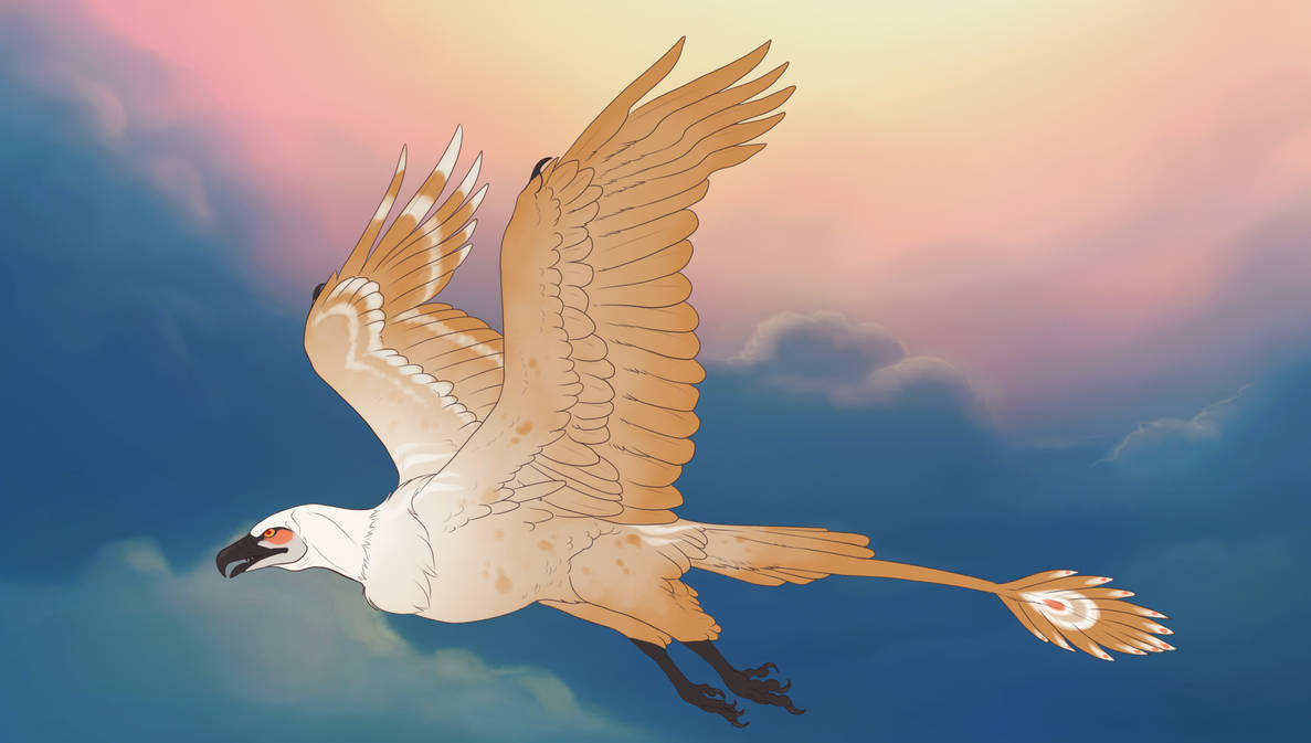 Maro Raptor Maro 9770 by EyeOfGalyx on DeviantArt