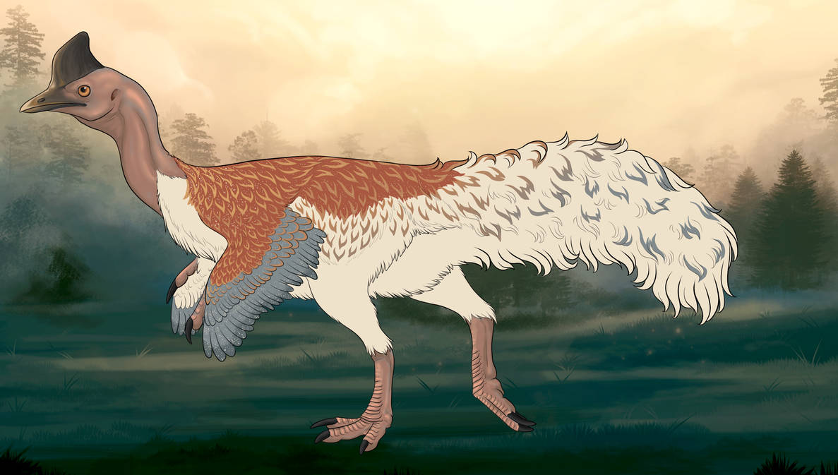 Lace Raptor Lace 9849 by EyeOfGalyx on DeviantArt