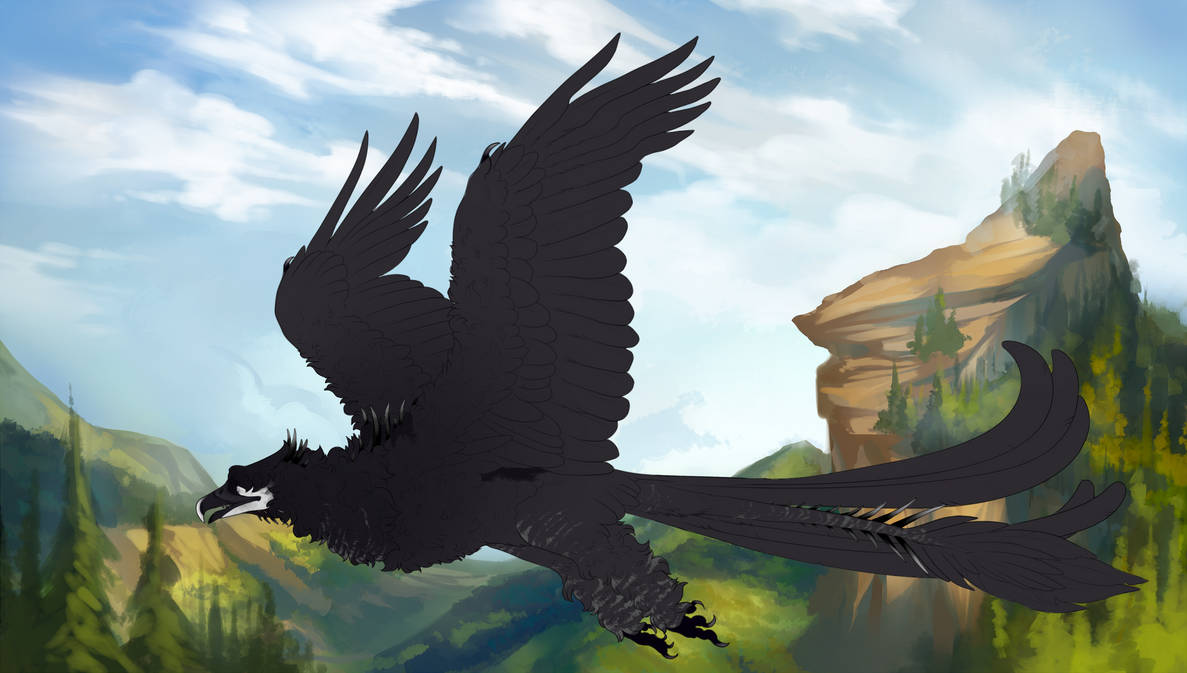 Raamiah 11058 by EyeOfGalyx on DeviantArt