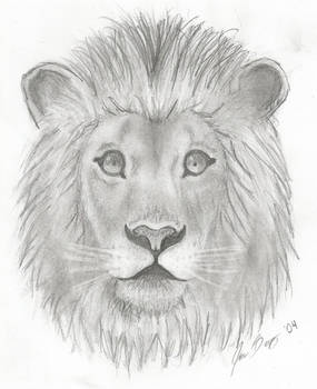 Lion Drawing 12.22.14