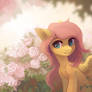 Fluttershy