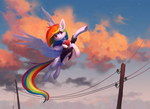 Dashie