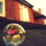 Bubble Reflection