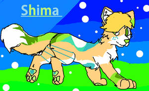 Shima