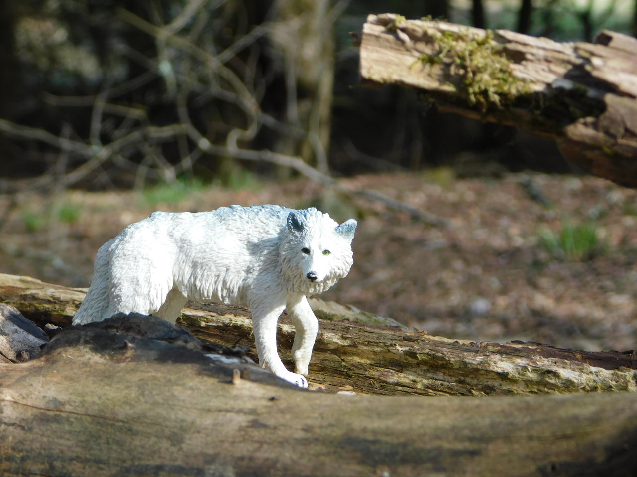 white wolf by FoxShed on DeviantArt