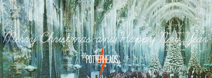 Merry Christmas and happy New Year,Potterheads!