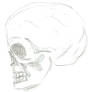 Quick Skull 1