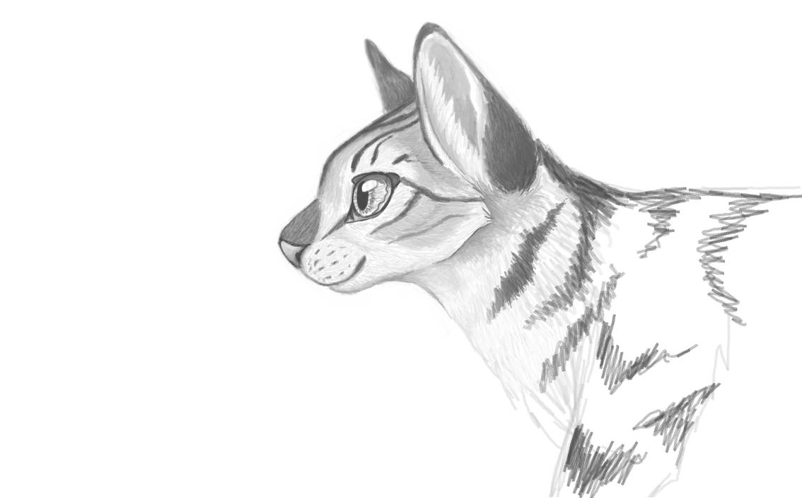 Silverstream uncolored by Liljatupsu on DeviantArt