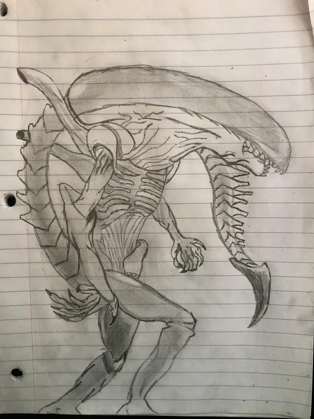 Xenomorph