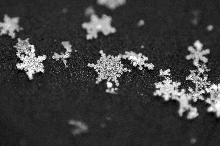 Snow flakes