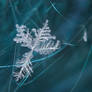 Broken Snow Flake