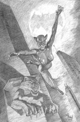 Catwoman-pencil-drawing