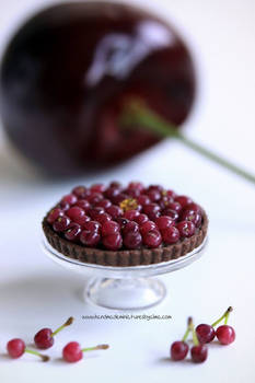 1:12 scale Cherry and Chocolate Tart