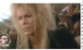 Jareth Stamp