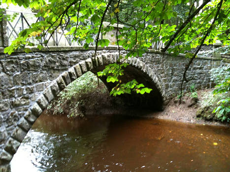 Bridge Over Water