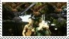 d4gw5ju-8845c039-23a0-4c06-b519-da6d945c