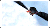 d6lzs13-d511b874-491c-4098-8835-f7ce6b3c